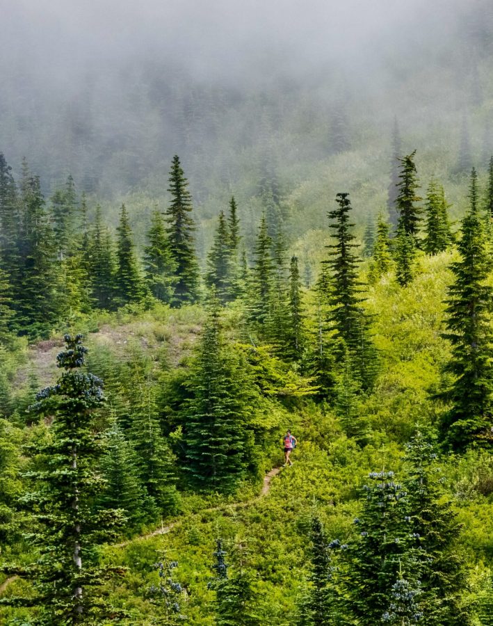 greg-rosenke-4OBZRvL9v3Y-unsplash