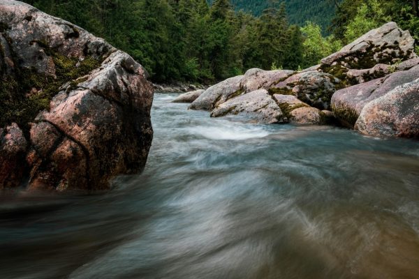 greg-rosenke-I54FfmetaDw-unsplash